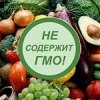 Госдума обезопасит россиян от продуктов на основе ГМО